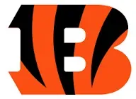 Episode 19 -  Cincinnati Bengals