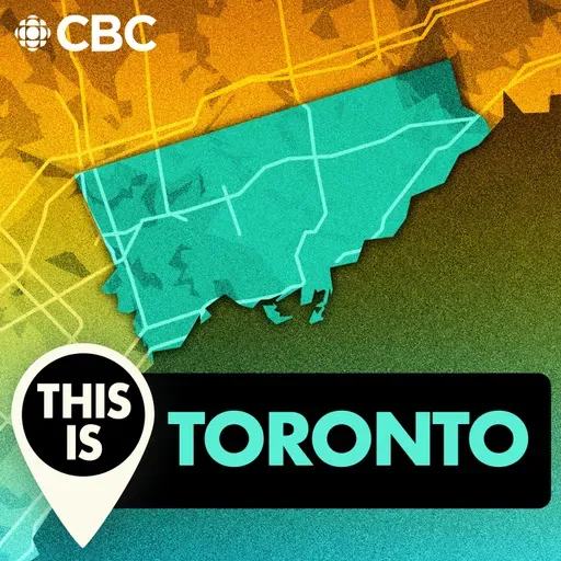 How clean are the seats on the TTC?