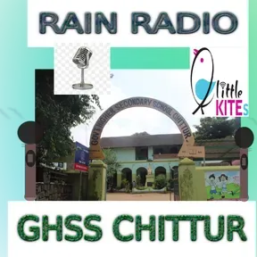 RAIN RADIO