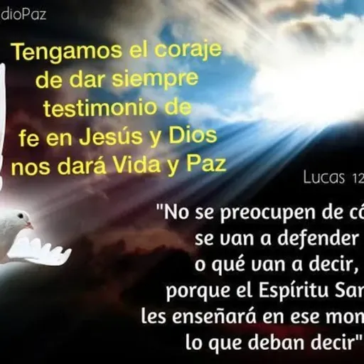 La fe justifica o regala la salvación, no la observancia de la ley