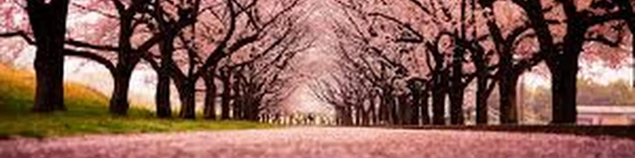 Dangling  over the moon