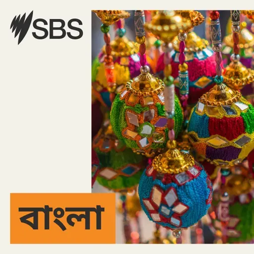One Nation copy cat? Opposition accused of borrowing Hanson's policies in budget reply - বাজেট রিপ্লাইয়ে বিরোধী দল কি পলিন হ্যানসনের নীতির অনুসরণ করলো?