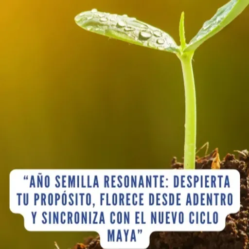 “ Año Semilla Resonante: Despierta tu propósito y florece desde adentro.