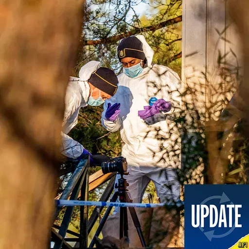 Nyhetssammanfattning - 29 december 15:30