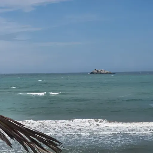 14 DE MAYO , TRATADO DE VELASCO. 1836.