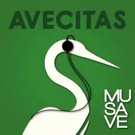Aves y sequía, ¿cómo ayudarlas?