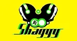 DJ Shaggy Venezuela Radio