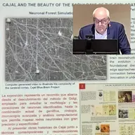 Más cerca - Cajal y la conectividad cerebral: historia, arte y ciencia - 29/10/25