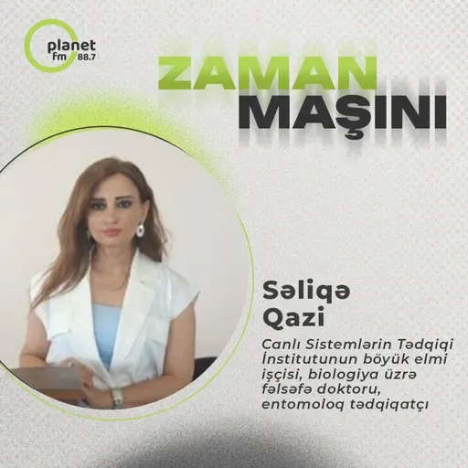 Bakıda və bölgələrdə həşəratlar bu səbəbdən çoxalırlar!