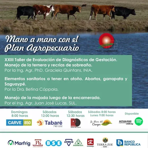 XXIII Taller Evaluación Diagnósticos Gestación. Sanidad en otoño. Majada luego de la encarnerada.