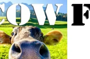 COW FM - Casino - 107.9 FM (AAC)