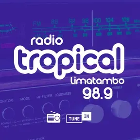 radio enlace
