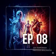 08 Estructura y Función