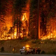 Best Of: The Future Of Fighting And Preventing Forest Fires