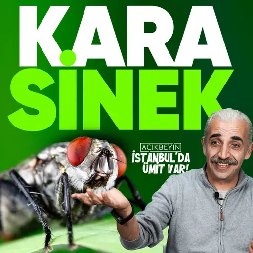 Akrobatik Kanatlar “Kara Sinek” | İstanbul’da Ümit Var - B22