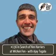 In search of Hen Harriers at Wicken Fen - with Ajay Tegala