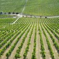 Economía en Andaluz 22 de agosto de 2025