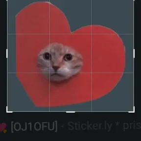 Hdsosccc
