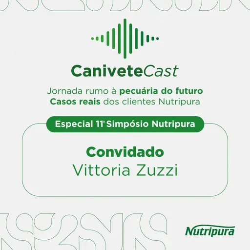 VITTORIA ZUZZI: A IMPORTÂNCIA DOS DADOS NA GESTÃO A DISTÂNCIA