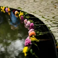 Minderheit in Europa - Sinti und Roma im Netz sichtbarer machen