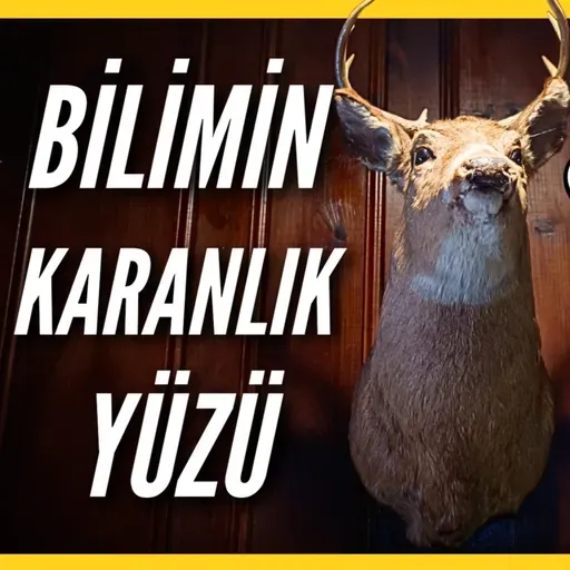 Taksidermi: Bilim mi, Vahşet mi? | Yoksa Sadece bir Koleksiyon Eşyası mı?