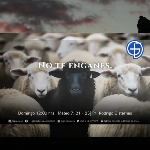 No te engañes| Mateo 7: 13-14| Segundo Culto | Audio Domingo 19 Octubre 2025