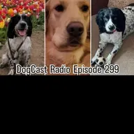 Episode 299 - dog themed AITA and AIBU, dogs' brains shrinking, toxic tulips and adder bites