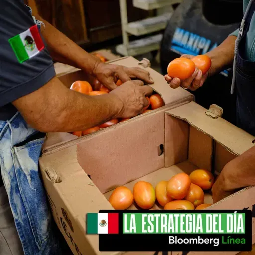 La guerra por los tomates, Pemex, Coppel, la plata, LG y Meta 