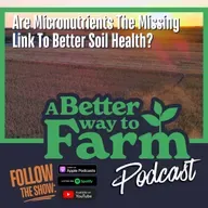 370: Are Micronutrients The Missing Link To Better Soil Health?