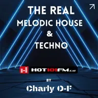 Melodic House & Techno Mix 2023 | The Real Melodic House #003