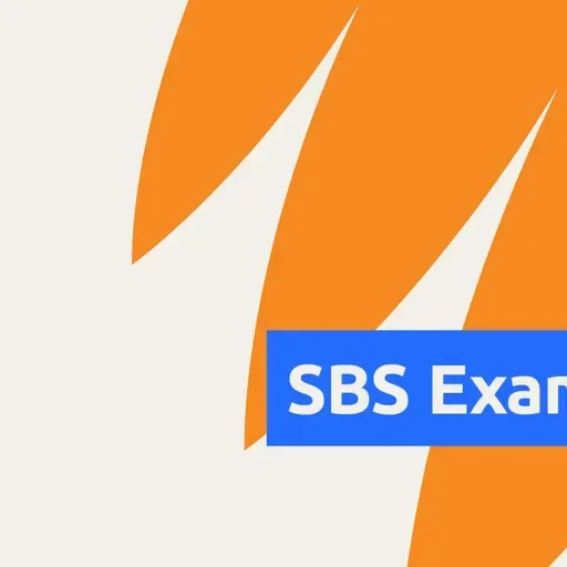 Most Australians see migration as a benefit. Is economic stress changing the story? - باورها و واقعیت‌ها: نگاهی به تبعیض و برداشت‌های نادرست درباره مهاجرت در آسترالیا