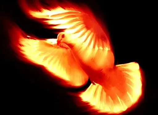 Pt. 8- Cincuenta Cosas/Fifty Things