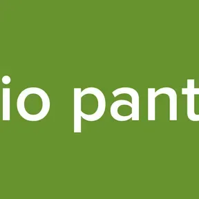 radio pantera