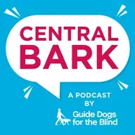 Summer Safety Tips for Dogs