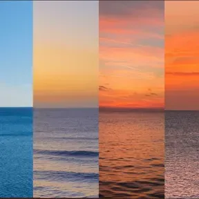Summer sea