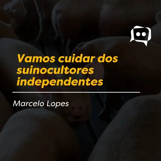 Vamos cuidar dos suinocultores independentes
