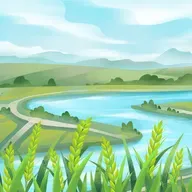 China's grand forest paradox