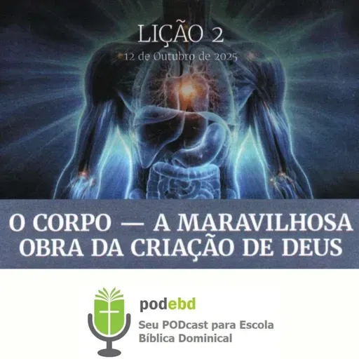 O Corpo - a maravilhosa obra da criação de Deus
