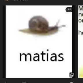 Enserio seis caracteres debe de tener