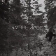 Лунные разговоры на ночь о самом важном и лёгком