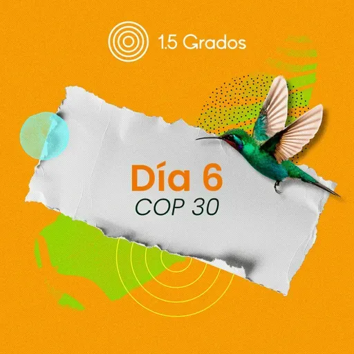 Así fue el día 6 de la COP30