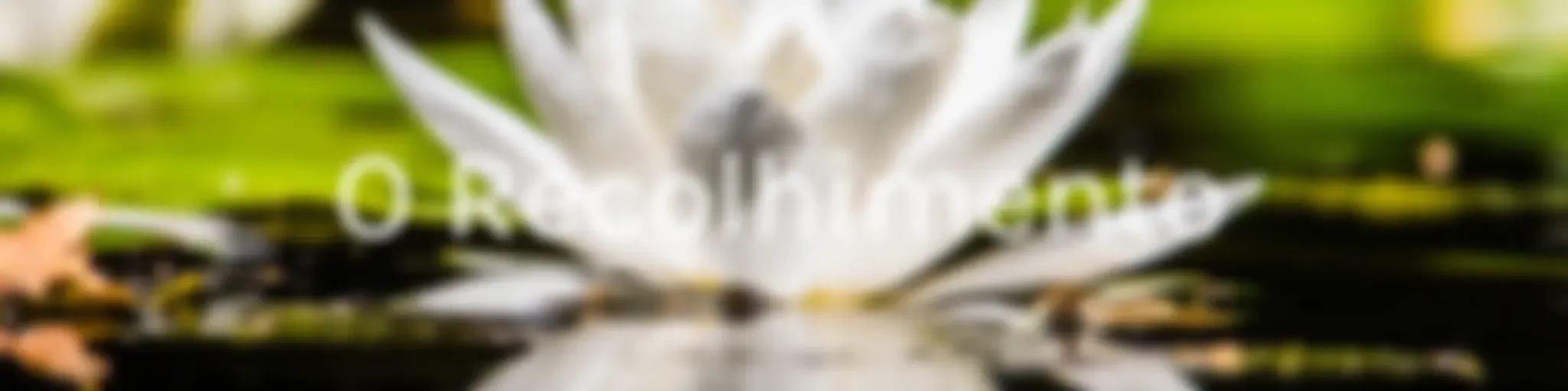 O Recolhimento: Compreendendo a pandemia sob a luz do Yoga, da saúde e das Ciências Humanas