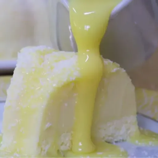 Pudim de coco sem forno