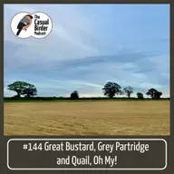 Great Bustards, Grey Partridge and Quail, Oh My!