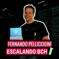 EXPERTO en NODOS BITCOIN: "BCH YA PUEDE PROCESAR CIENTOS DE MILES DE PAGOS POR SEGUNDO" | EP 262