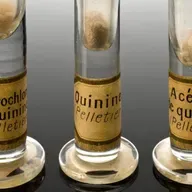 La quinina: el antídoto que llegó de América