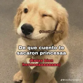 La guanábana