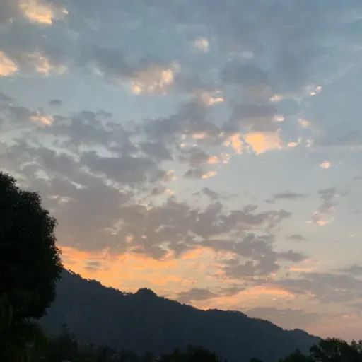 Después del Curso de 20 días de Meditación Vipassana