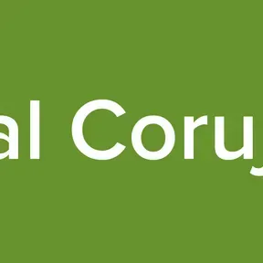 Portal Corujinha