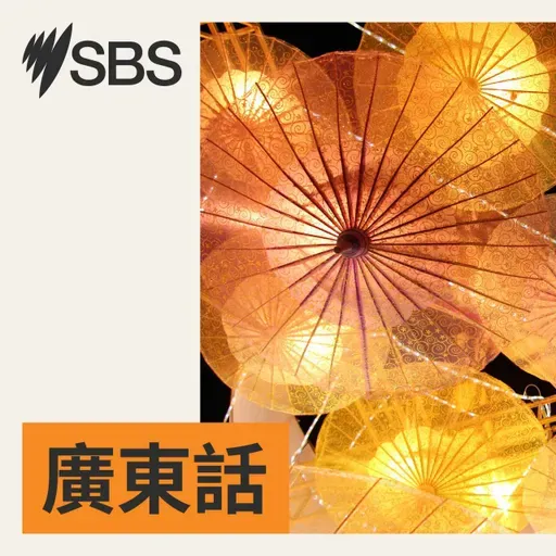 SBS九點半新聞 (2026 年 4 月 2 日)